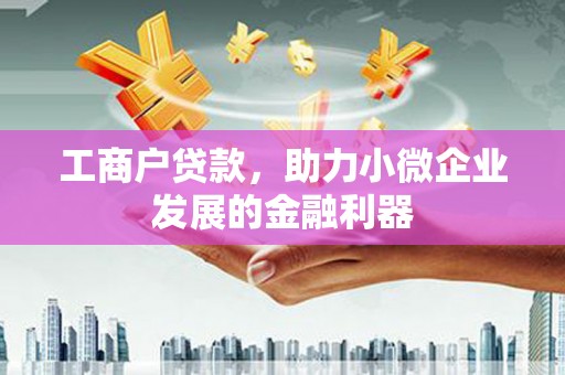 惠济工商户贷款，助力小微企业发展的金融利器