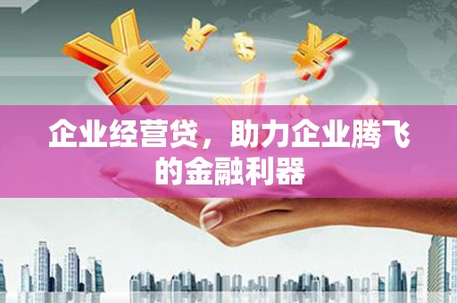 惠济企业经营贷，助力企业腾飞的金融利器