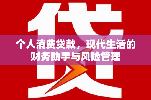 惠济个人消费贷款，现代生活的财务助手与风险管理