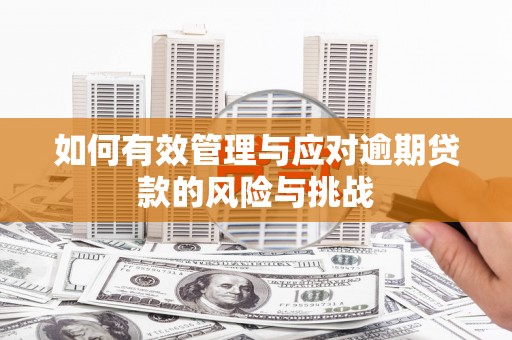 惠济如何有效管理与应对逾期贷款的风险与挑战