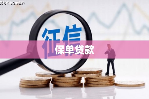 惠济保单贷款