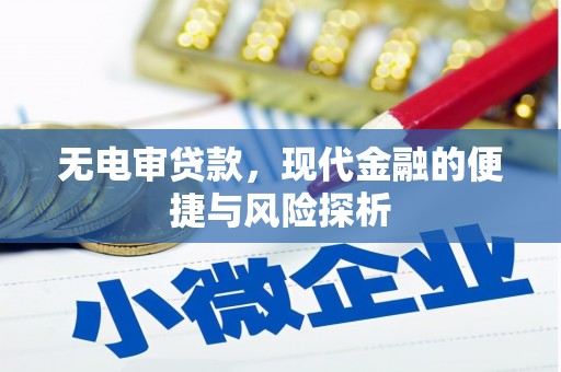惠济无电审贷款，现代金融的便捷与风险探析