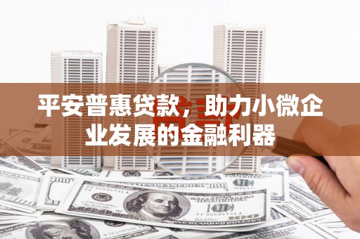 惠济平安普惠贷款，助力小微企业发展的金融利器