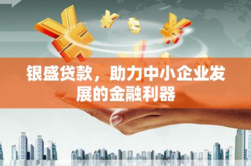 惠济银盛贷款，助力中小企业发展的金融利器