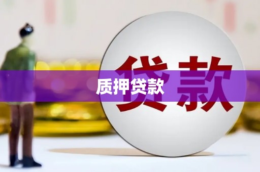 惠济质押贷款
