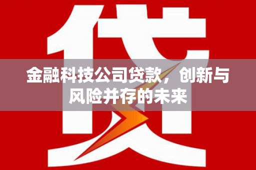 惠济金融科技公司贷款，创新与风险并存的未来