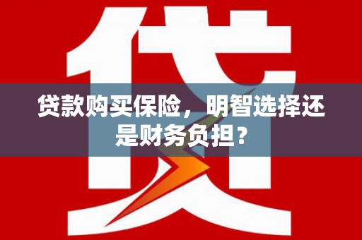 惠济贷款购买保险，明智选择还是财务负担？
