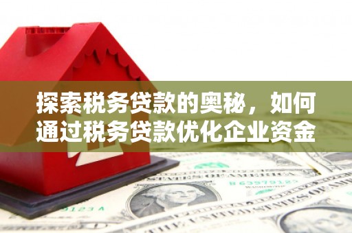 惠济探索税务贷款的奥秘，如何通过税务贷款优化企业资金流