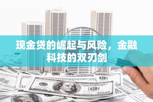 惠济现金贷的崛起与风险，金融科技的双刃剑