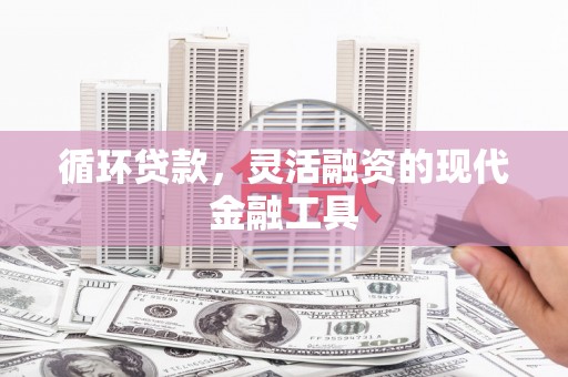 惠济循环贷款，灵活融资的现代金融工具