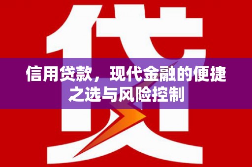 惠济信用贷款，现代金融的便捷之选与风险控制