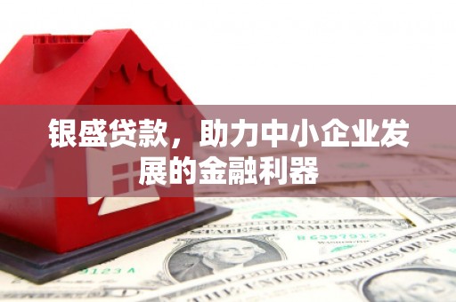 惠济银盛贷款，助力中小企业发展的金融利器