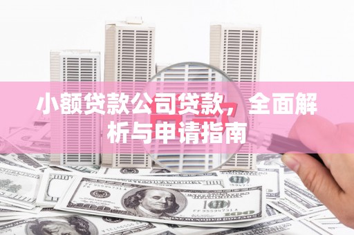 惠济小额贷款公司贷款，全面解析与申请指南