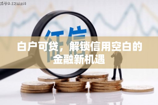 惠济白户可贷，解锁信用空白的金融新机遇