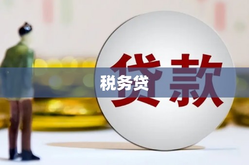 惠济税务贷