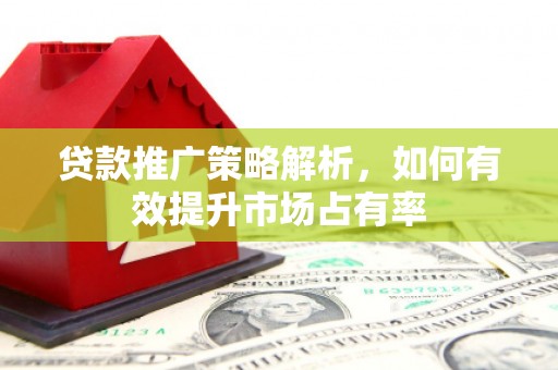 惠济贷款推广策略解析，如何有效提升市场占有率
