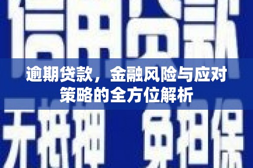 惠济逾期贷款，金融风险与应对策略的全方位解析