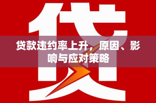 惠济贷款违约率上升，原因、影响与应对策略