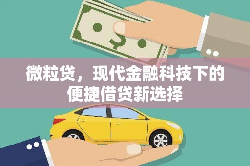 惠济微粒贷，现代金融科技下的便捷借贷新选择