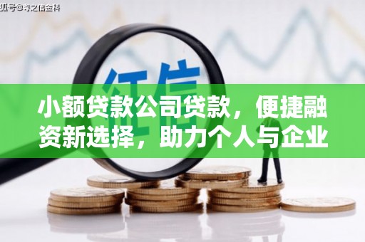 惠济小额贷款公司贷款，便捷融资新选择，助力个人与企业成长