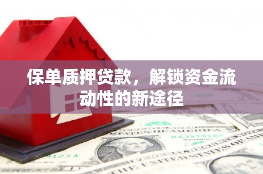 惠济保单质押贷款，解锁资金流动性的新途径