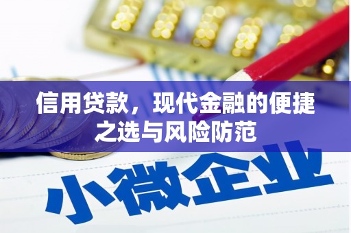 惠济信用贷款，现代金融的便捷之选与风险防范