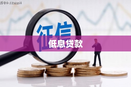 惠济低息贷款