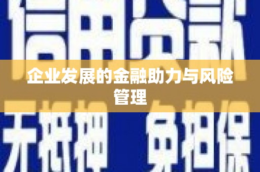 惠济企业发展的金融助力与风险管理