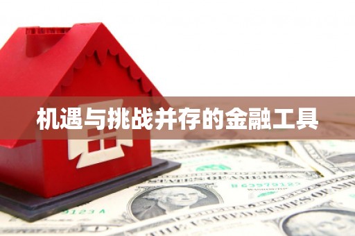 惠济机遇与挑战并存的金融工具