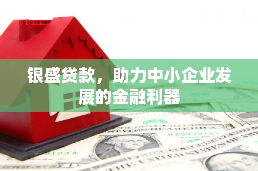 惠济银盛贷款，助力中小企业发展的金融利器