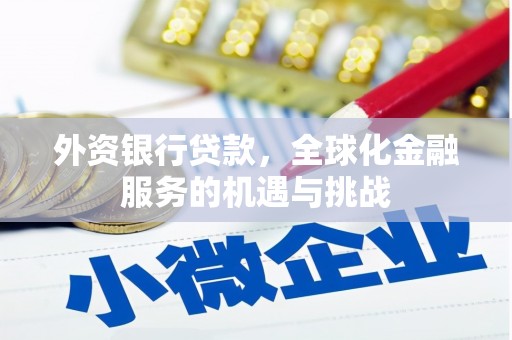 惠济外资银行贷款，全球化金融服务的机遇与挑战