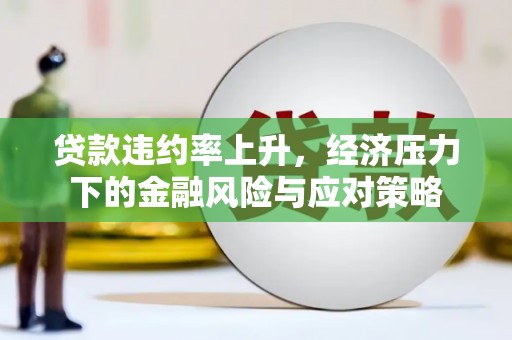 惠济贷款违约率上升，经济压力下的金融风险与应对策略