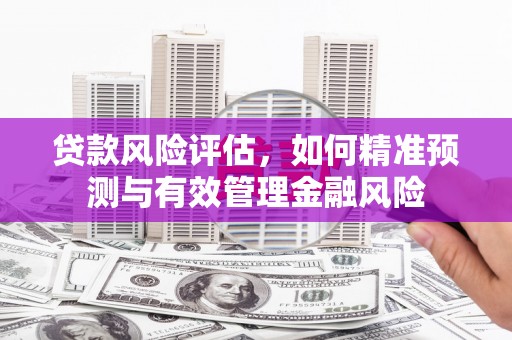惠济贷款风险评估，如何精准预测与有效管理金融风险