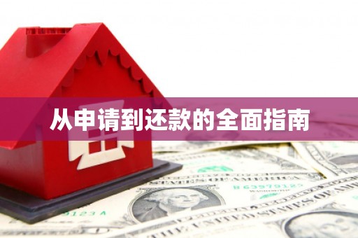 惠济从申请到还款的全面指南