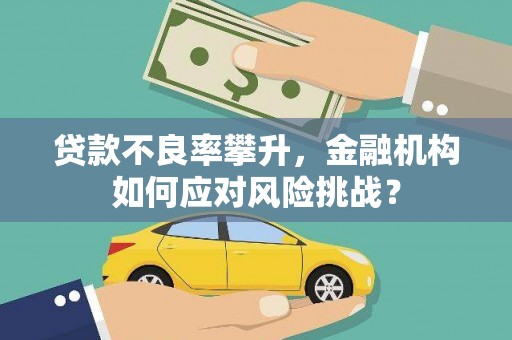 惠济贷款不良率攀升，金融机构如何应对风险挑战？