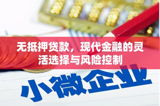 惠济无抵押贷款，现代金融的灵活选择与风险控制