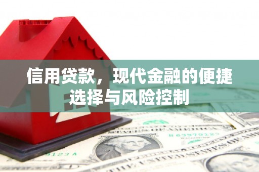 惠济信用贷款，现代金融的便捷选择与风险控制