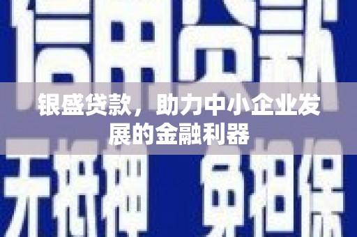 惠济银盛贷款，助力中小企业发展的金融利器