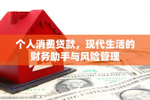 惠济个人消费贷款，现代生活的财务助手与风险管理