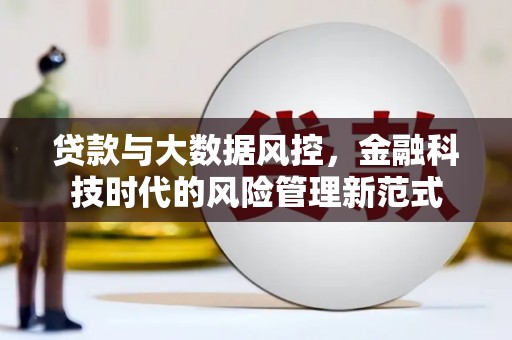 惠济贷款与大数据风控，金融科技时代的风险管理新范式