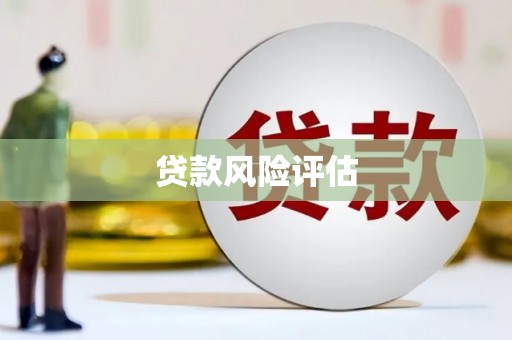 惠济贷款风险评估