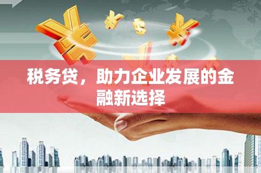 惠济税务贷，助力企业发展的金融新选择