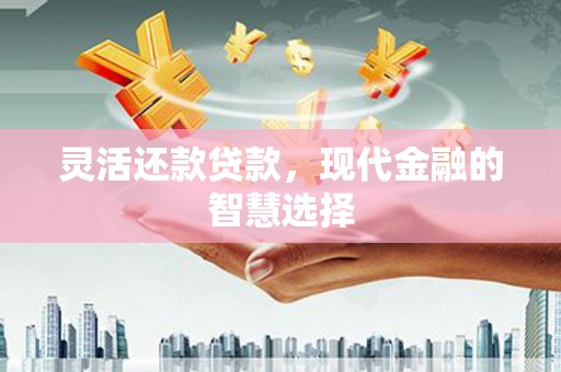 惠济灵活还款贷款，现代金融的智慧选择