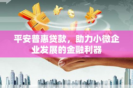 惠济平安普惠贷款，助力小微企业发展的金融利器