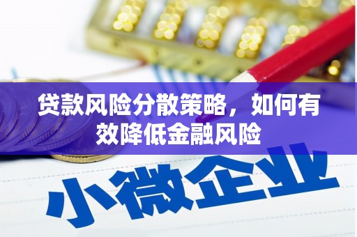 惠济贷款风险分散策略，如何有效降低金融风险