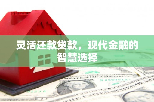 惠济灵活还款贷款，现代金融的智慧选择
