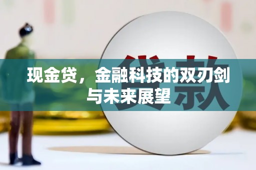 惠济现金贷，金融科技的双刃剑与未来展望