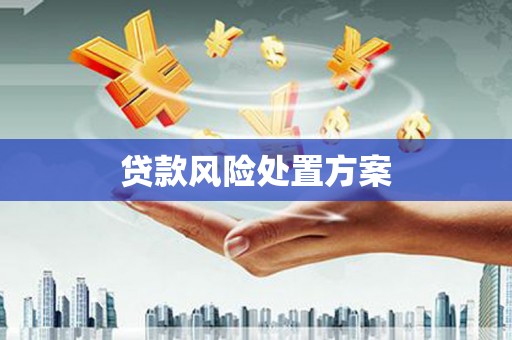 惠济贷款风险处置方案
