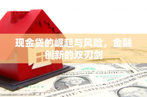惠济现金贷的崛起与风险，金融创新的双刃剑
