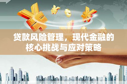 惠济贷款风险管理，现代金融的核心挑战与应对策略